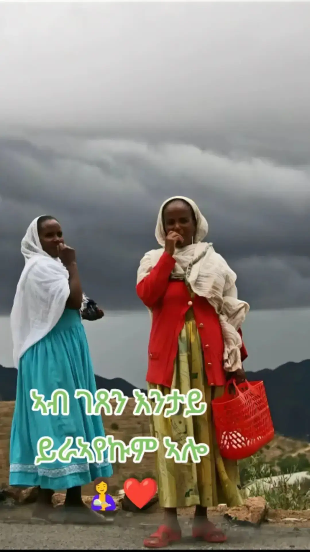 #creatorsearchinsights # #eritreantiktok #habeshatiktok  #tgraytiktok #habeshatiktok 