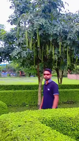 দুনিয়া বলে আমি পাগল হয়েছি আমি জানি তোমার প্রেমে পড়েছি #vairal_video_tiktok #❤️❤️❤️❤️❤️❤️🥰🥀a 