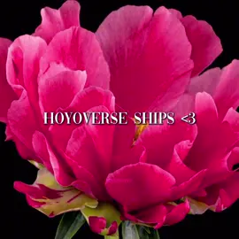 i love them dearly… and all of you!! 💕 // may make a part two if this goes well!! hehe #HonkaiStarRail #hsrcreators #drratio #fallinlove #hsredit @maquiisora @noah @mims 