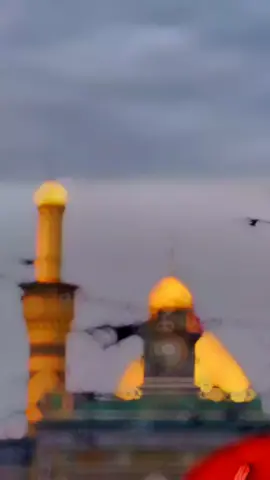 #viralvideo #viralvideo #foryoupage #foryoupage #😭😭😭😭😭😭😭😭😭😭😭😭😭😭😭😭😭😭😭😭😭😭 