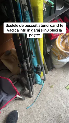 Sculele de pescuit be like#fy #viral #pescuit #fazeamuzante #imogen 