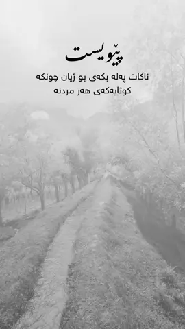 #furyoupage #parati #kurdistan #fyp 
