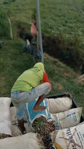 ekonomi adalah pembunuh paling kejam bagi mimpi seorang laki_laki..
