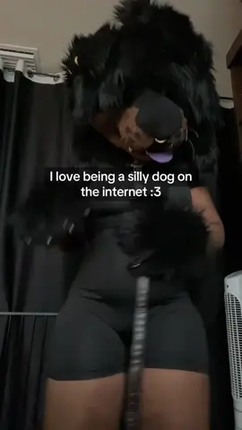 Lemme hump your leg #mastiff_runaway #tibetanmastiff #fyp #furryfandom #bowiefursuitcreationsfursuit 