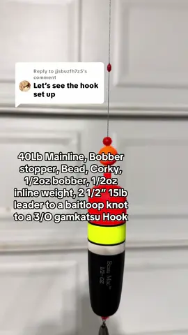 Replying to @jjsbuzfh7z5 #fyp #salmonfishing #pnw #bobbersetup 