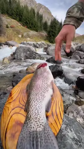 Cooking norwegian salmon steak in nature 🐟🍣💦🏔 #cookingasmr #leon #outdoorcooking #salmon #steak 