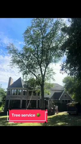 #treeservice #stihlchainsaw #stihl #burridgeillinois 