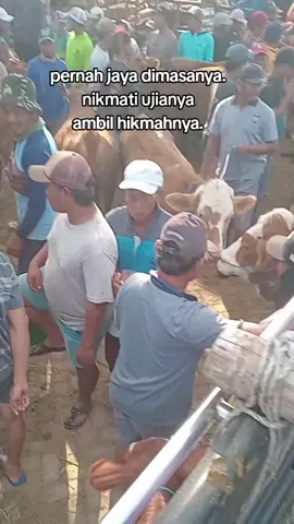 kabeh ono masane #fypviral #blantiksapi #lembubarokah #perintismuda 