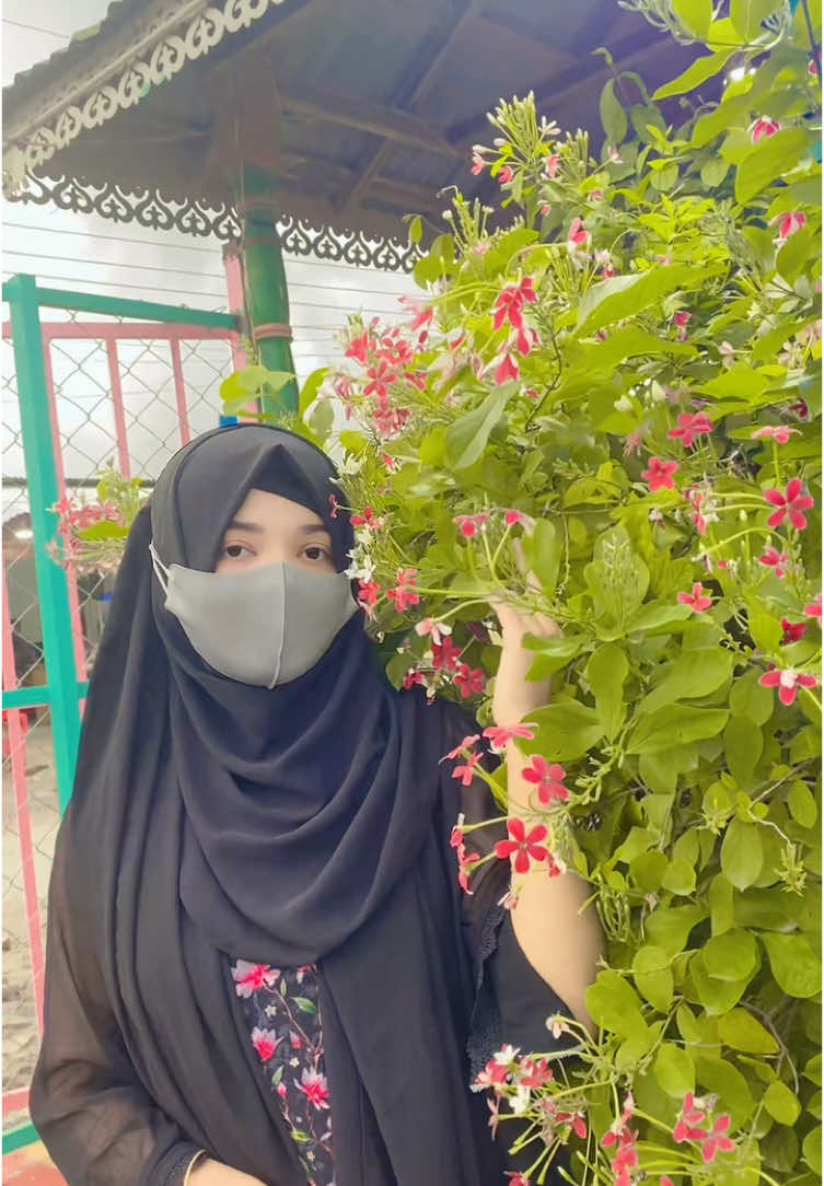 #bdtiktokofficial 🌸