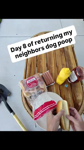 Day 8 #dogsoftiktok #fypシ 