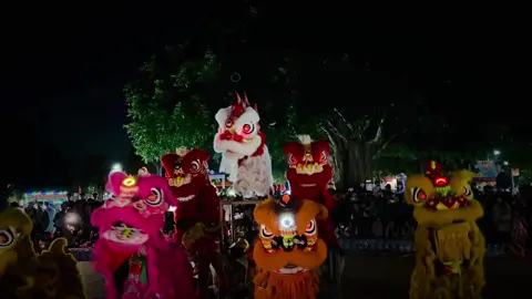 Có chút bon chen#tiktok #xuhuong #giaitri #lsrvietnam #daklak 