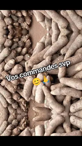 Hello tout le monde ! 👋🏾 Je vends désormais de l’igname (tubercules) bien fraîche, prête à cuisiner 🍽️ ✅ Déjà disponible 💰 À partir de 2 500 F 🧺 Quantité selon votre besoin Si vous êtes intéressé(e), écrivez-moi directement sur le 98😊57🙏56🙏92. Livraison possible à vos frais. Merci de faire passer le mot ! 🙏🏾 #foryoupage❤️❤️ #fypシ゚ #creatorsearchinsight #pourtoipage #togolais228🇹🇬 