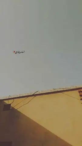میرے قاسے میں بھی کچھ ڈال #deeplines #foryou #viralvideo #deeplines 