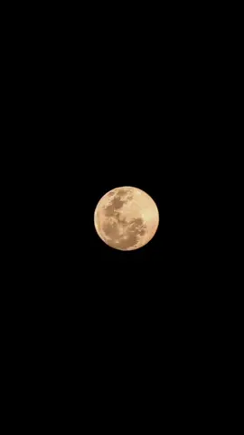 supermoon 🌕 6 Oktober 2025 #supermoon #moon  #astrophotography #gopix7pro  #nightsky 