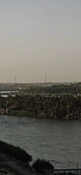 #سعدي_الحديثي_چوبي  #العراق  #الانبار_حديثة  #الجوبي_العراقي_الاصيل 