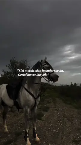 #takip #takipetbeni🦋 