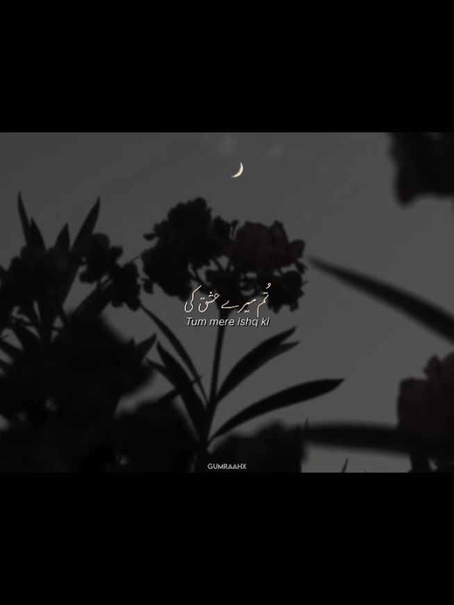 Tum mere ishq ki sar zameen ban gaye🫀✨!! - Slowed Reverb | Without Music | Vocals | Status | Lyrics | Hasi Ban Gaye  - #donotunderreview #foryoupage #unfreezemyaccount #fyp #foryou 