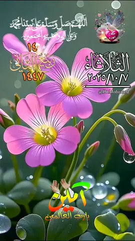 اللهم في يوم الثلاثاء دعاء صباح يوم الثلاثاء #صباح_الخير #صباحكم_أحلى_صباح🌹🌹 #islamic_video #دعاء_يوم_الثلاثاء #اللهم_امين 