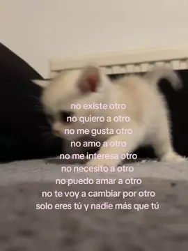 te amo mi bebito hermoso 💕#paratiiiiiiiiiiiiiiiiiiiiiiiiiiiiiii #gatitos #fyp #Love 