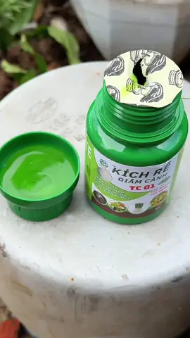 Kích rể TC 01 cực mạnh, kích rể cây con, giâm cành, ra rể mạnh, cây khoẻ, bóng mượt, cà phê, sầu riêng, tiêu, rau màu và cây kiểng #trongladinh #saurieng #caphe #hotieu #kichre  @Trồng Là Dính  @Trồng Là Dính  @Trồng Là Dính 