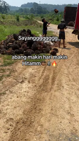 Sangat menyala sayanggg🔥#fyp#lewatberanda#pemuatsawit#deriver#sawitontiktok 