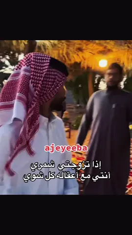 أبو عجيب ####