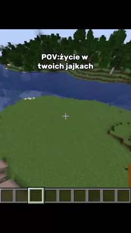 wbij na kanał i zostaw suba pls kanał w bio #minecraftshorts #dlaciebie #foryou 