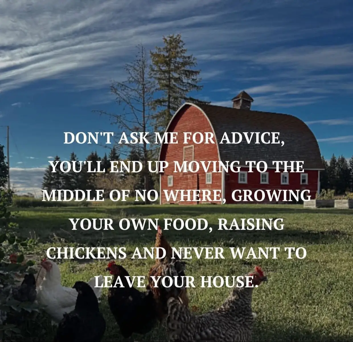 #offgridliving #farmlife #healingtiktok #homesteading #MomsofTikTok 