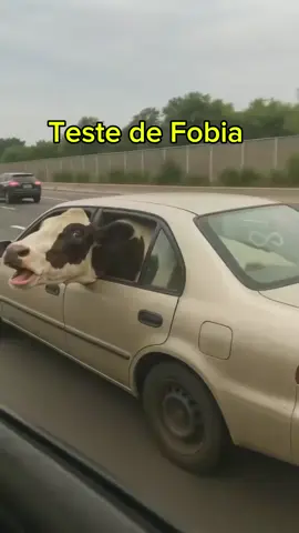 Teste de Fobia, Escopofobia (Medo de ser Observado) #fobia #teste #medo #pessoas #suspense 