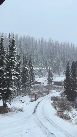 A white Wyoming already 😍 Let the winter season countdown begin! #views #winter #snow #wyoming #nationalparks 