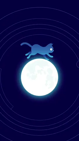 Happy Mid-Autumn Festival to you and your loved ones! We'll be lighting a lantern for Bounty tonight, wherever he may be 🌕. #midautumn #animation #anime #blackcat