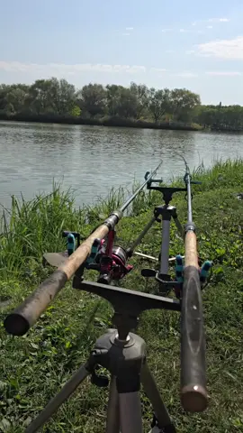 Ki ne maradjak a trendekből😄💪 #tiktoktrend #horgászlány #kromakniki #fishing #carpfishing 