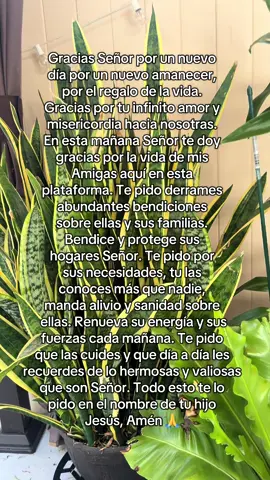 Gracias Señor por un nuevo día por un nuevo amanecer, por el regalo de la vida. Gracias por tu infinito amor y misericordia hacia nosotras. En esta mañana Señor te doy gracias por la vida de mis Amigas aquí en esta plataforma. Te pido derrames abundantes bendiciones sobre ellas y sus familias. Bendice y protege sus hogares señor. Te pido por sus necesidades, tu las conoces más que nadie, manda alivio y sanidad sobre ellas. Te pido que las cuides y que día a día les recuerdes de lo hermosas y valiosas que son Señor. Todo esto te lo pido en el nombre de tu hijo Jesús, Amén 🙏 #bendecida #agradecida #oracion #amigas #hijadelreydereyes👑 