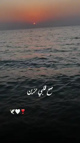 #CapCut #ذوق #الكادي #❣️🕊️🤍الرياض #فعلا👍🏻❤️❤️ تصويري وتصميمي👍🏻