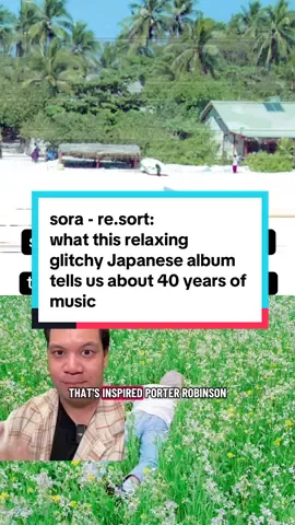 brief rundown and fun piece on Sora's Re.sort (2003) #idm #botanica #aphextwin #ambient #nature 