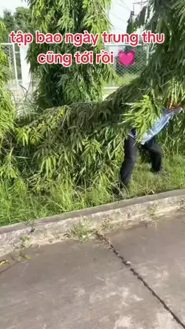 luyện tập mấy tháng trời để đón trung thu cuối cùng cũng được thể hiện may mà đêm rằm không mưa 👍#xuhuongtiktok 