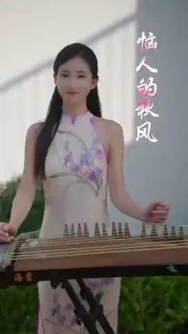 恼人的秋风- Nao ren de qiu feng #古筝 #chinesemusic #musicmandarin #instrumental #viralpost 