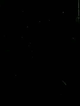#CapCut 
