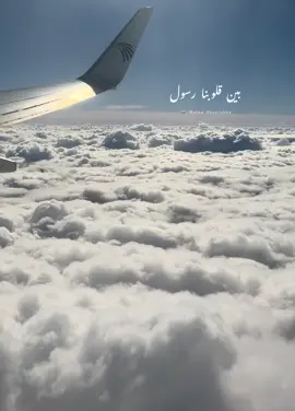 بين قلوبنا رسول بالمحبة ينادي 🕊️♥️ #foryoupage #tiktok #تصويري #videoviral #fyp 