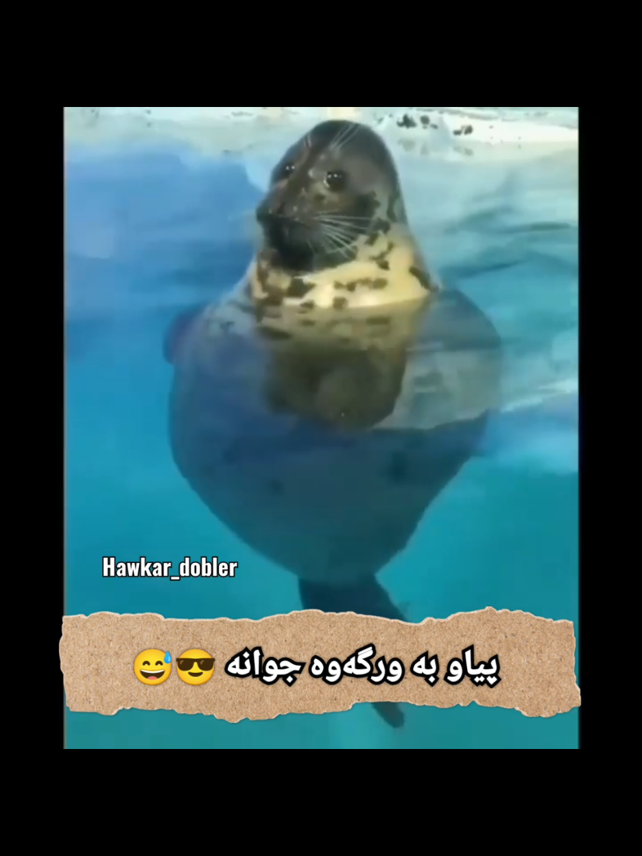 پیاو بە ورگەوە جوانە 😎😅  #hawkar_dobler  #funnyvideo #foruyou 