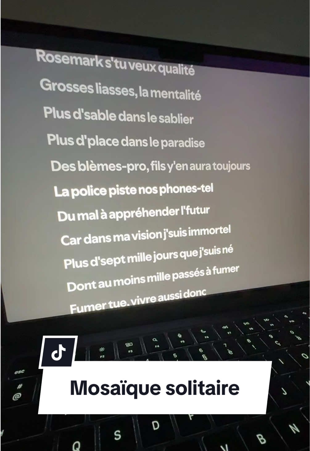 « Je n’ai rien à perdre en soi, vu qu’on emporte rien avec soi »  Mosaïque solitaire ~ Damso  #damso #lyrics #paroles #spotify #rap 