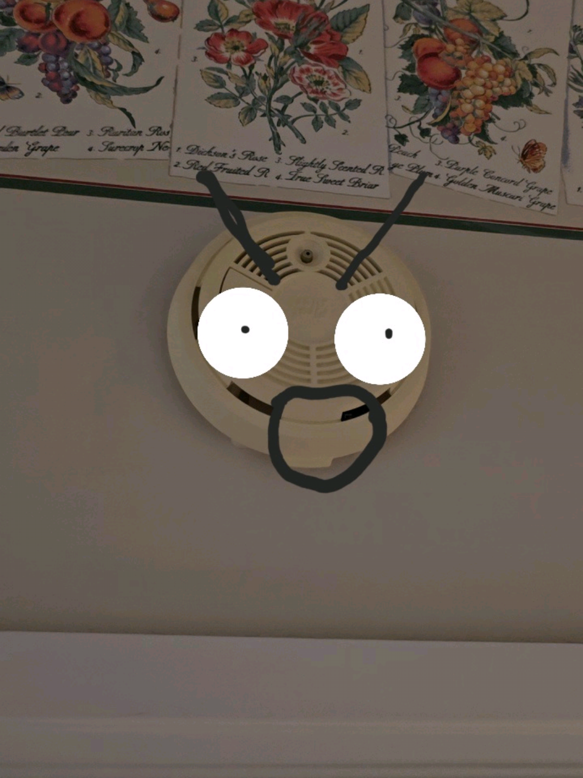 wallpaper is trash. I have to paint...a lot. #smokealarm #newhome 