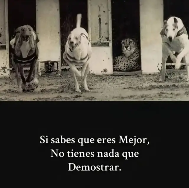 LA INSANIDAD ME DIJO Q NO JUEGUE 