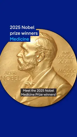The Nobel Prize in Medicine 2025 goes to Mary E. Brunkow, Fred Ramsdell and Shimon Sakaguchi! Their groundbreaking work revealed how our immune system avoids attacking itself. Sakaguchi discovered special immune cells that prevent autoimmunity, while Brunkow and Ramsdell identified a gene linked to immune disorders. Together, their research opens new doors to treating autoimmune diseases — and even cancer. Author: Sushmitha Ramakrishnan #NobelPrize #dwscience #dwhealth #medicine #autoimmune