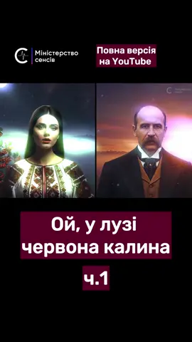 Ой, у лузі червона калина #djshevchenko #українськамузика #ukrainianmusic #techno #folk 