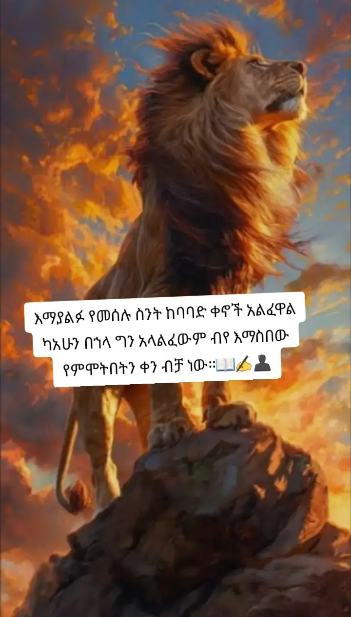 #fyp #viral #ethiopian🇪🇹🇪🇹🇪🇹🇪🇹ሀገሬlove #ደግነት_ለራስ_ነው🥰🙏🥰 #ሴትነት👸💪🧕❤️ 