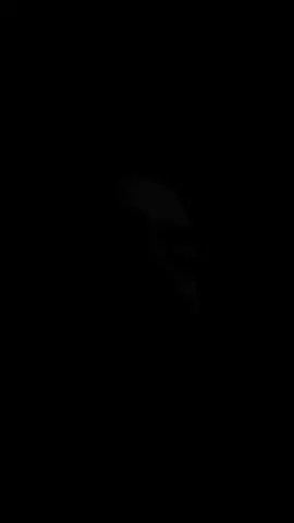 ‏#دويتو مع @ستوريات 💔 جرحني وما قلت مجروح قلت له عادي لا تهتهم يحتوي عمر الجبوري اكسبلور متابعه اعاده نشر#عمر #quran_alkarim #الشتاء_قادم 