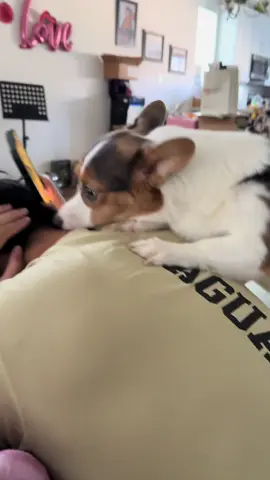 it’s like she knows who’s allergic to dogs 