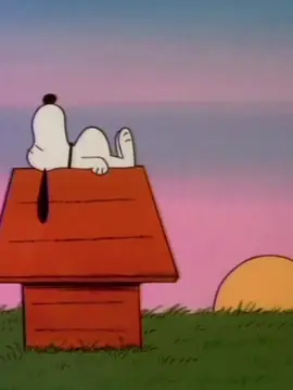 Snoopy says: Good morning/ Buenos días #snoopychannel #snoopylover #snoopyvibes #fyp #cutedog 