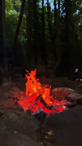 #libanon🇱🇧 #قاديشا #ملحم بركات